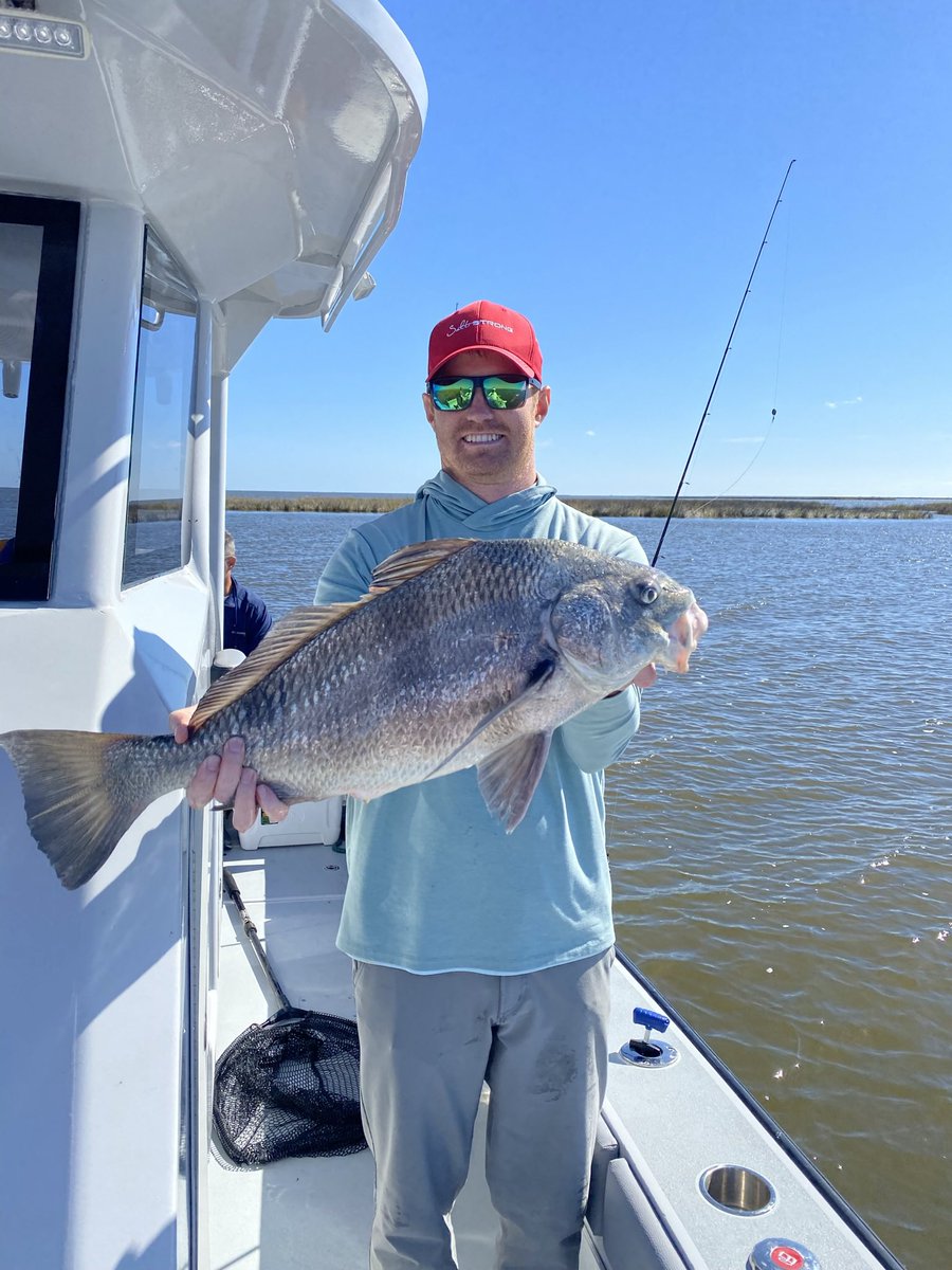 FrazierBrett's tweet photo. Lunch break post. This was in Louisiana waters a few weeks ago. We didn’t do well until we decided to fish off the bottom. When the tide started to move, we had about 20 minutes of fish action. Not much before or after that. #hopedale #liveshrimp https://t.co/CKDm7xkkne