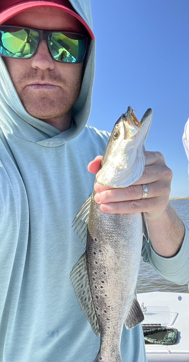 FrazierBrett's tweet photo. Lunch break post. This was in Louisiana waters a few weeks ago. We didn’t do well until we decided to fish off the bottom. When the tide started to move, we had about 20 minutes of fish action. Not much before or after that. #hopedale #liveshrimp https://t.co/CKDm7xkkne