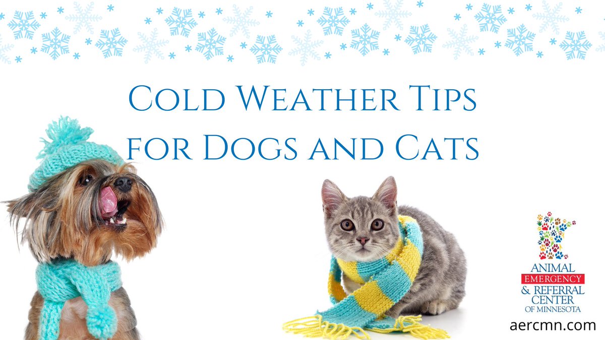As temperatures drop, we want to remind pet owners how to keep their pets safe in Minnesota's cold weather & snow! Review our winter safety blog for dogs & cats here: 
https://t.co/xRM0QAVEQk
#minnesota #twincities #pets https://t.co/z6Q868XulF