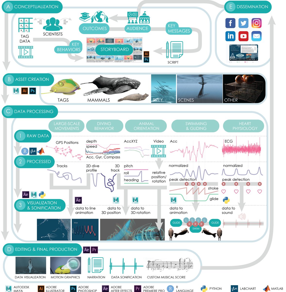 Our paper is now published in <a href="/IEEEXplore/">IEEE Xplore</a>! 🥳 
Learn to visualize your biologging data with online tutorials &amp; code - 
or take a "Data-Driven Animation for SciComm" course with me next summer with <a href="/CSUMB/">Cal State Monterey Bay</a>'s Science Illustration Program July 18-29 - DM me! 
ieeexplore.ieee.org/document/96229…