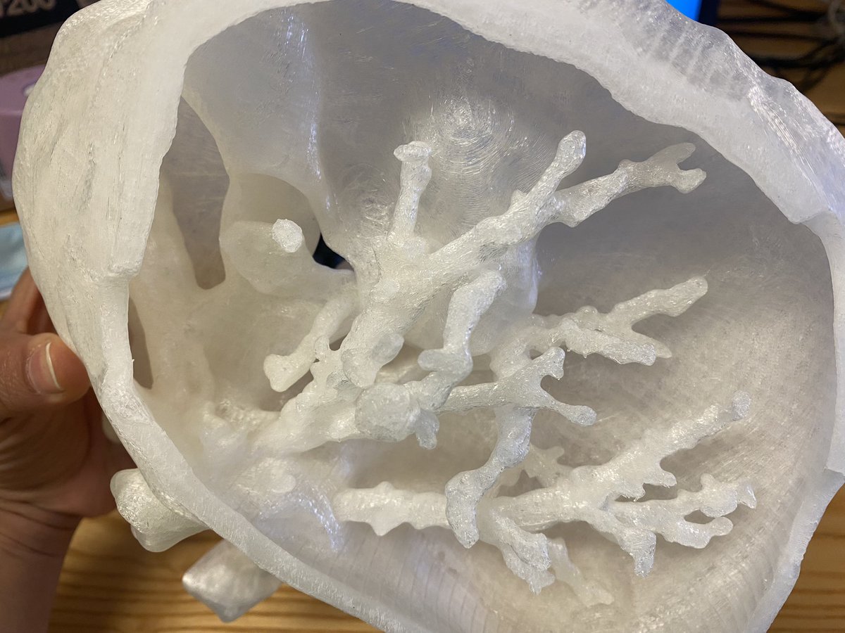 Suchita Bahri tweet media