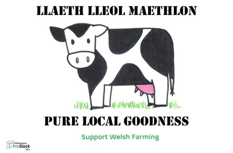 Prostock Vets are taking to the streets of Carmarthen Town on Saturday 11th Dec to promote the Pure Lical Goodness of milk 🥛