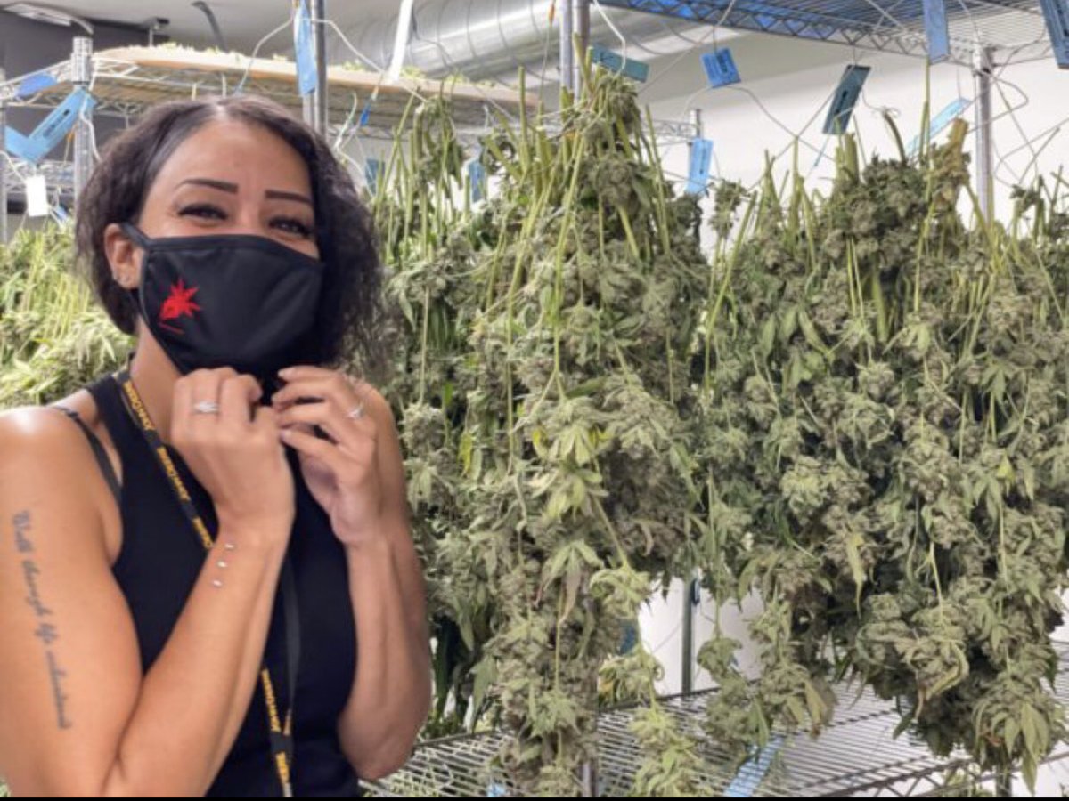 Vcannavegwriter's tweet image. Mission accomplished- my 1st in my #cannabis and #music series with @ganjapreneur - featuring @GkuaOfficial #CannabisCommunity #cannabisculture