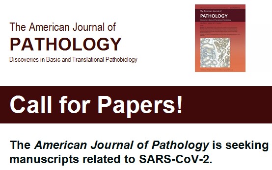 Submit your #COVID19 #Pathogenesis manuscripts to <a href="/AJPathology/">The American Journal of Pathology</a> today: editorialmanager.com/ajpa/default1.…