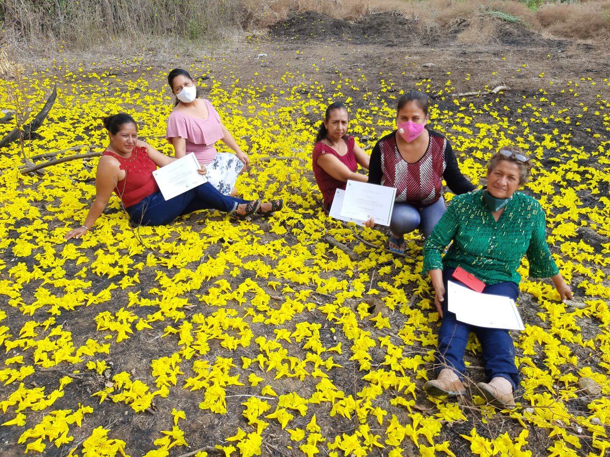 JuanElPerez68's tweet photo. Daule| Parroquia Los Lojas, entregamos 16 certificados a agricultores que se graduaron de las escuelas de aprendizaje de la Agricultura familiar campesina. #JuntosLoLogramos https://t.co/nxX6a7vWop