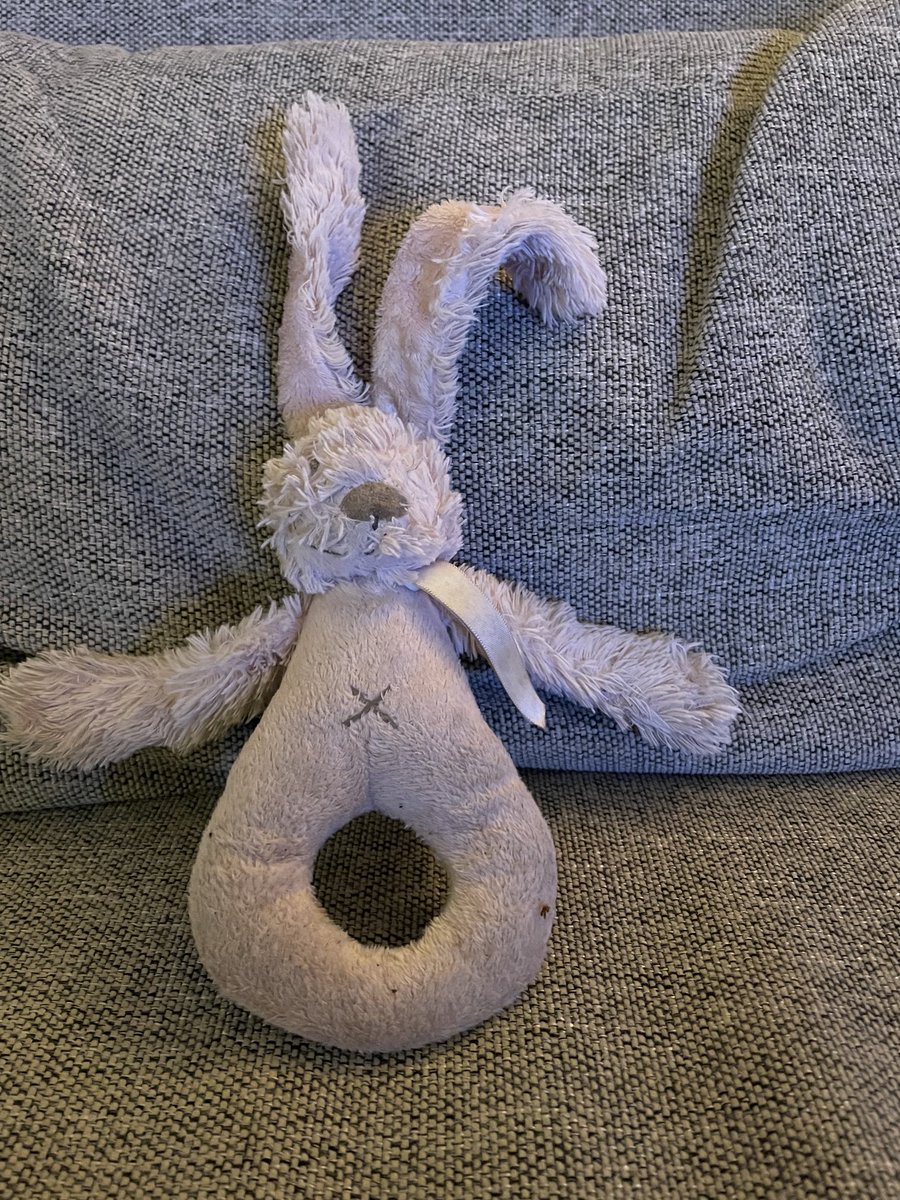 peterhovius's tweet photo. Wie herkent deze knuffel? Zojuist gevonden in Zeist, hoek Dr. s’Jacoblaan/Valckenboschlaan https://t.co/jAnWHrbKKr