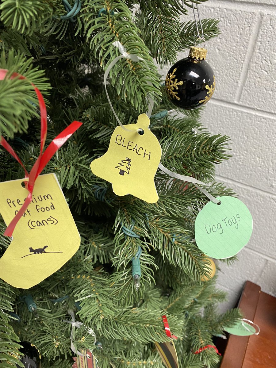 DHollerieth's tweet photo. UTMS’s 7th and 8th Grade Student Council has worked very hard to get our Giving Tree ready! We are excited for our school community to help the animals at Somerset Regional Animal Shelter! 🎄🐶🐱@LauraLoPiccolo_ @Kerry_Foote21 @UnionTownshipHC https://t.co/xRzf9qN1ZM