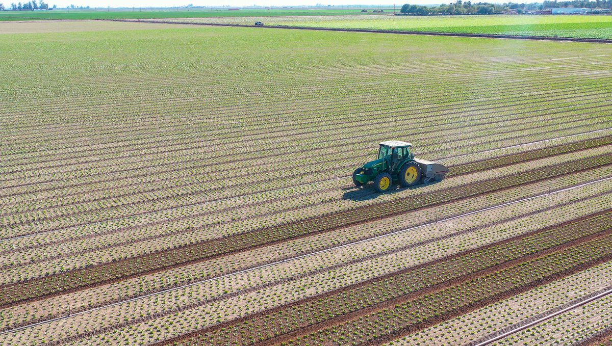 StoutAgtech's tweet photo. At Stout, we know that agriculture is a high stress, time sensitive industry. With this in mind, we created the Stout Smart Cultivator to decrease headaches, made it simple to use, and easy to operate.
#stoutagtech #technology #agtech #agriculture #farming https://t.co/xjAOPj3l4p