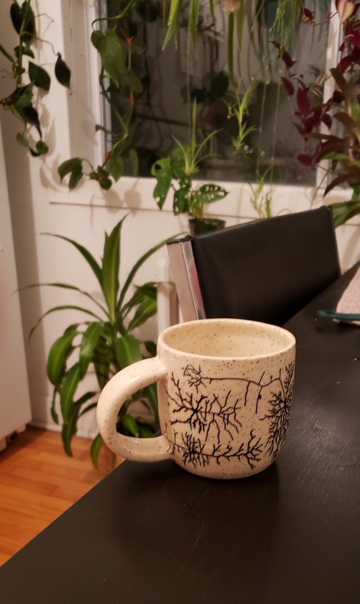 Dr. Mandy LeCocq (@mr_lecocq) on Twitter photo A big thank you to <a href="/Jackie_Gio/">Jackie Gio</a> for the beautiful mug inspired by Nadia. It will be the home of many morning coffees! A big thank you to <a href="/Jackie_Gio/">Jackie Gio</a> for the beautiful mug inspired by Nadia. It will be the home of many morning coffees!