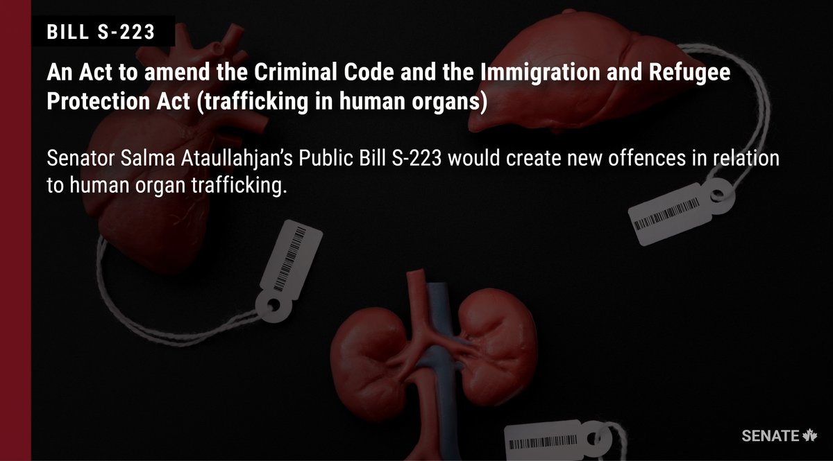 SenateCA's tweet image. Senators are now discussing @SenatorSalma's Bill #S223 at second reading in the Senate: ow.ly/9rRm50GW1VL

#SenCA #cdnpoli