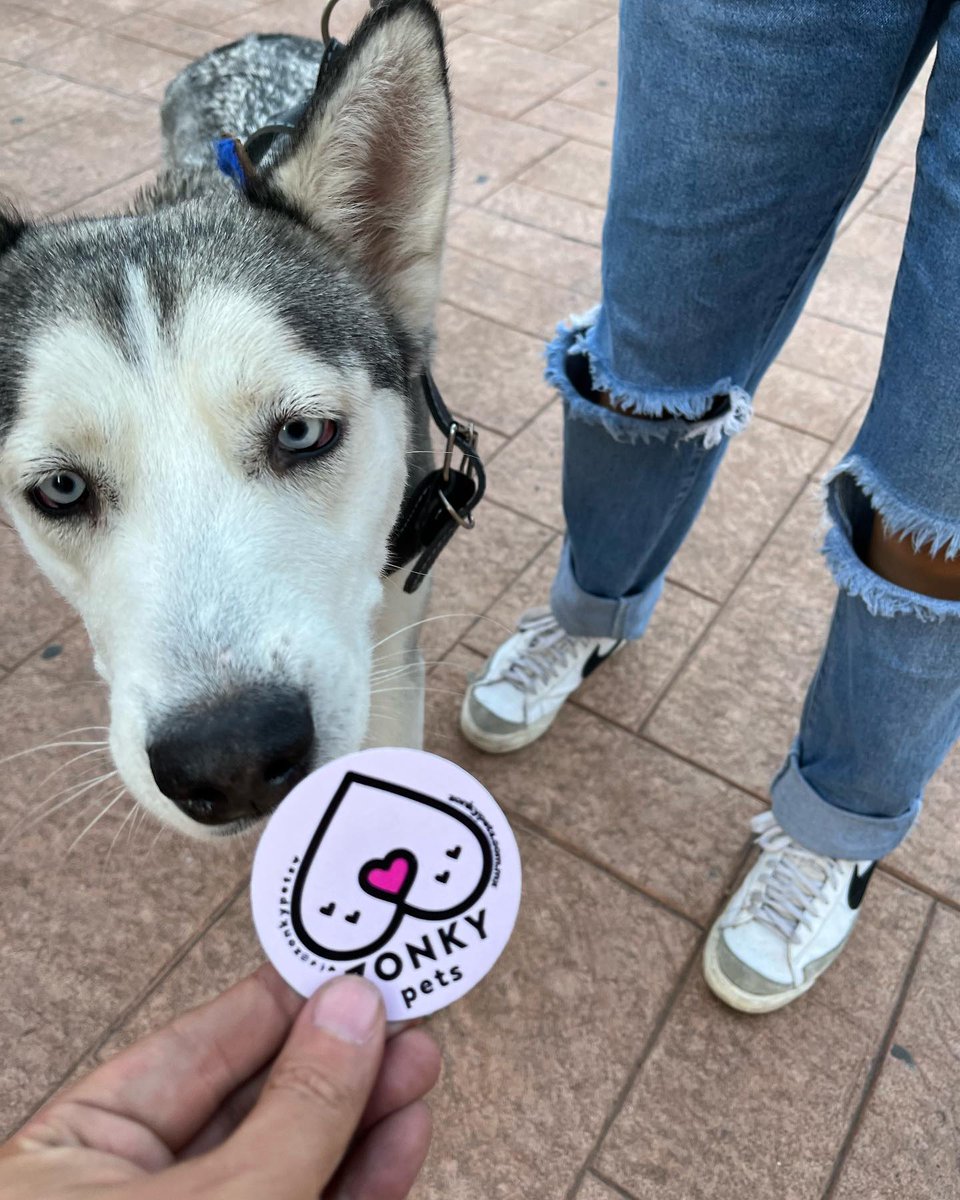 ZonkyPets's tweet photo. Gracias por tu compra Akila 😍
@aidee_frannco
.
.
.
#ZonkyPets #zonky #Perros #husky https://t.co/s0wJKFIN1q