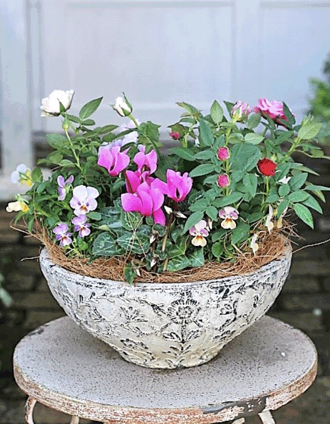 絵里 Good Morning 𓈒𓏸 I Wish You A Good Day ゙ I Feel Very Sacred 𓈒𓂂 レノンズデー ꨄ Love John Lennon Lyrics 和訳 ジョンレノン T Co Qe9gwyuttj T Co Erty8m2q0o Twitter 絵里 Good Morning 𓈒𓏸 I Wish You A Good Day ゙ I Feel Very Sacred 𓈒𓂂 レノンズデー ꨄ Love John Lennon Lyrics 和訳 ジョンレノン T Co Qe9gwyuttj T Co Erty8m2q0o Twitter