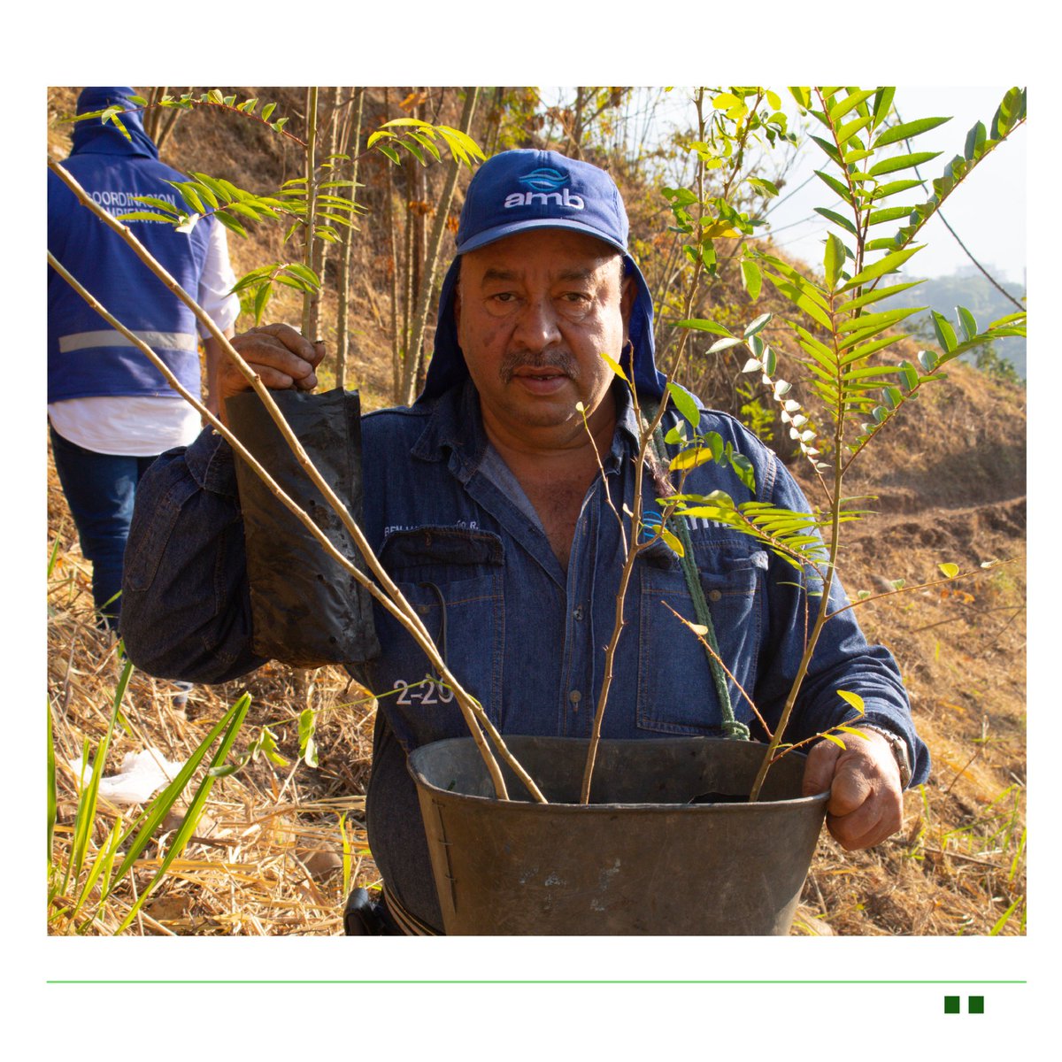 acueductobga's tweet photo. #ambAmbiental 🌱Hoy junto con @AlcaldiaBGA @Invisbu @COL_EJERCITO iniciamos la campaña “50 mil razones de vida”, cuyo propósito es sembrar 50 mil árboles🌳para repoblar zonas deforestadas; y conmemorar así, la vida de quienes han partido por causa de la pandemia de la Covid-19. https://t.co/INsQOpty14