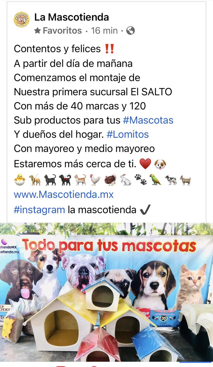 Vamos al salto #Jalisco 🐈🦮🐈‍⬛🐾♥️