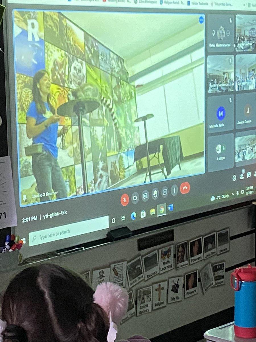 Learning about animals, conservation and how we can help our planet from <a href="/EarthRangers/">Earth Rangers/Éco Héros 🐸🌎</a>. Our favourite part was seeing the animal ambassadors. 🐢