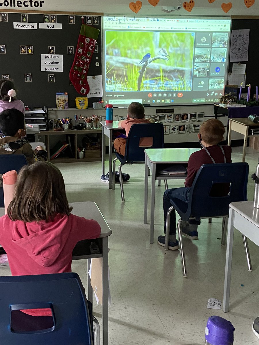 Mrs_Domingos's tweet photo. Learning about animals, conservation and how we can help our planet from @EarthRangers. Our favourite part was seeing the animal ambassadors. 🐢 https://t.co/b2vJMFo2k6