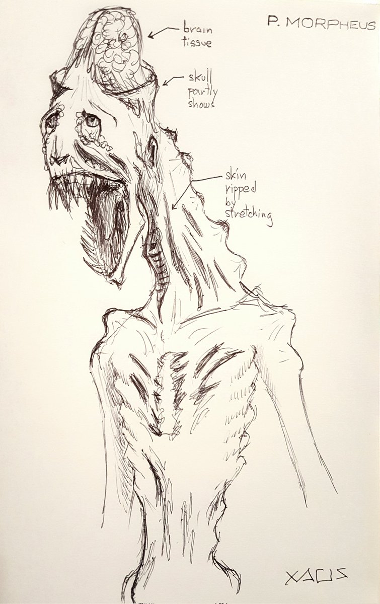 XaosXV's tweet photo. Some early concept sketches, hush hush creepy horror project π€π¨π more of it will crawl into twitter soon #asterstudios #indiegame #UnrealEngine https://t.co/IZESxOarcH