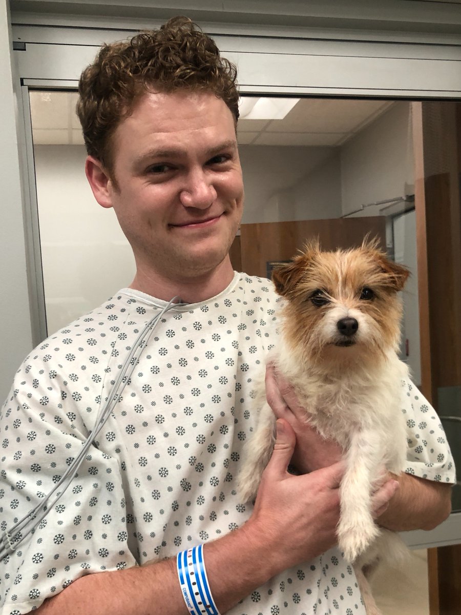 PeterGrahammm's tweet photo. TONIGHT! This incredibly small dog and I guest star together on the winter finale of #TheResident at 8:00pm on Fox! https://t.co/40amcqGpZ2