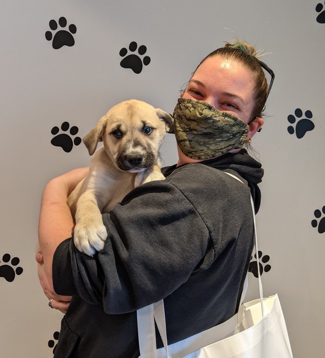 windsorhumane's tweet photo. Creating new families may just be the BEST feeling ever! Puppy #1, now known as Major General, was the first of our 11 puppies to go home this week! Major and his new mom Laura were instantly best friends!
#happyendings #creatingfamilies #puppylove https://t.co/7THZ2WEBp9
