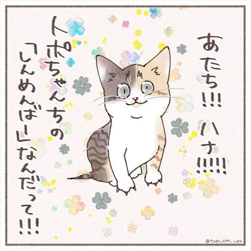 新メンバーの保護子猫、先住猫をどう思ってる……? 飼い主が猫の気持ちを想像して描いた漫画が心あたたまる https://t.co/xNlhPeM64Z @itm_nlabより 