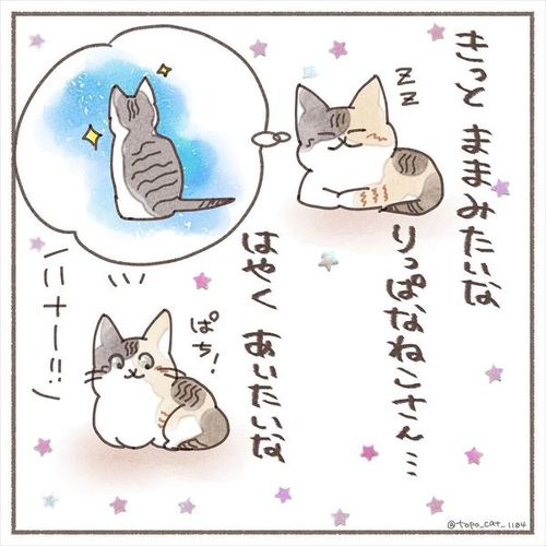 新メンバーの保護子猫、先住猫をどう思ってる……? 飼い主が猫の気持ちを想像して描いた漫画が心あたたまる https://t.co/xNlhPeM64Z @itm_nlabより 