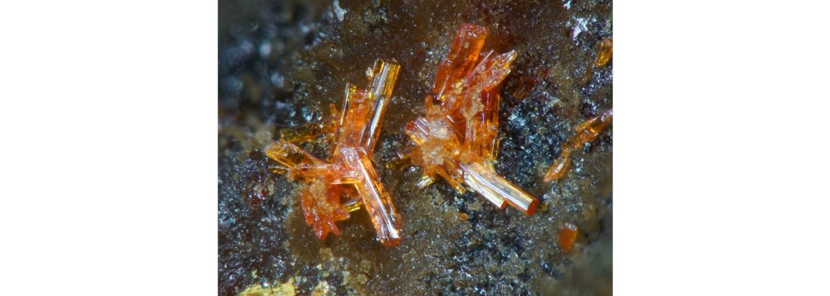 vibekesky's tweet photo. Agora tem um mineral chamado ruedlingerite   ou rüdlingerite.  O nome é  em homenagem a um geólogo suíço  de sobrenome Ruedlinger  ou Rüdlinger https://t.co/MSEGEM2DVv