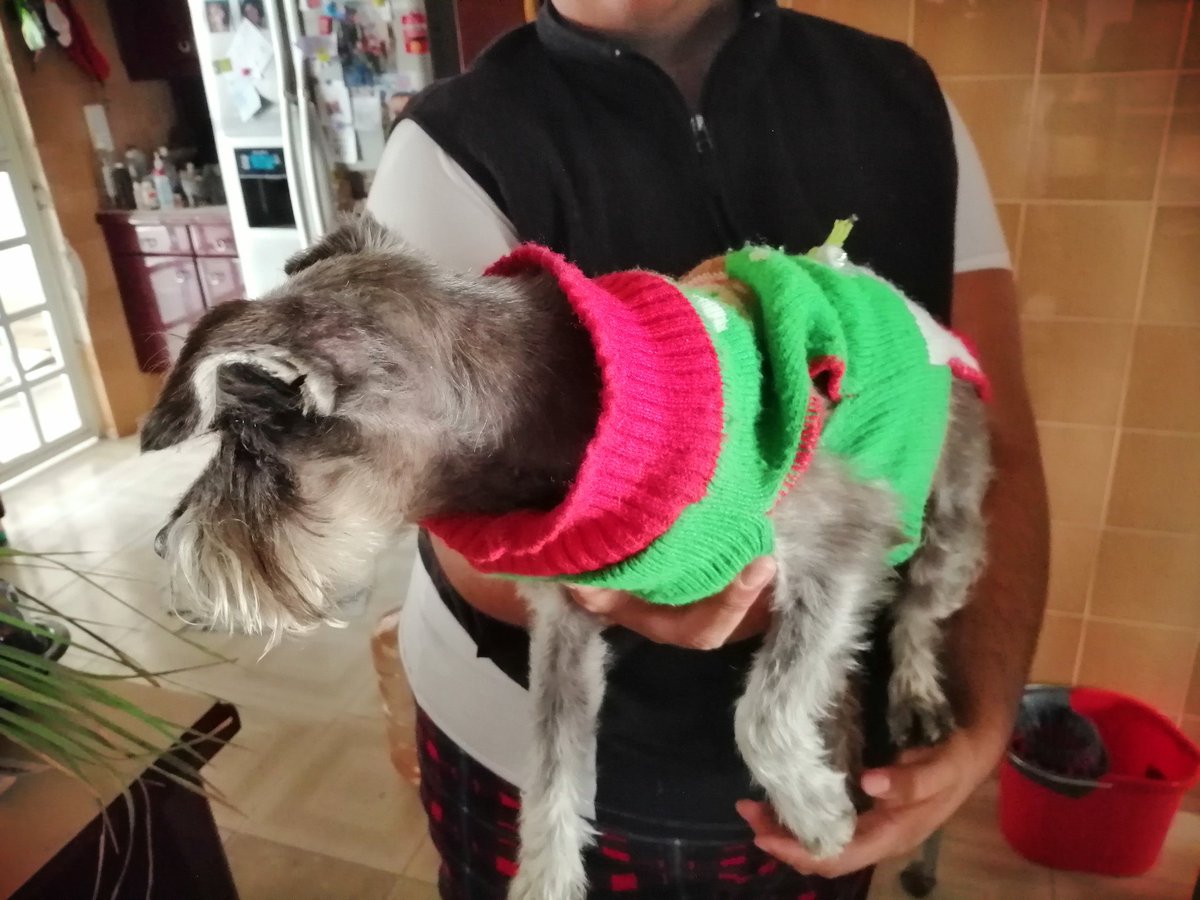 Naz Froitzheim tweet media