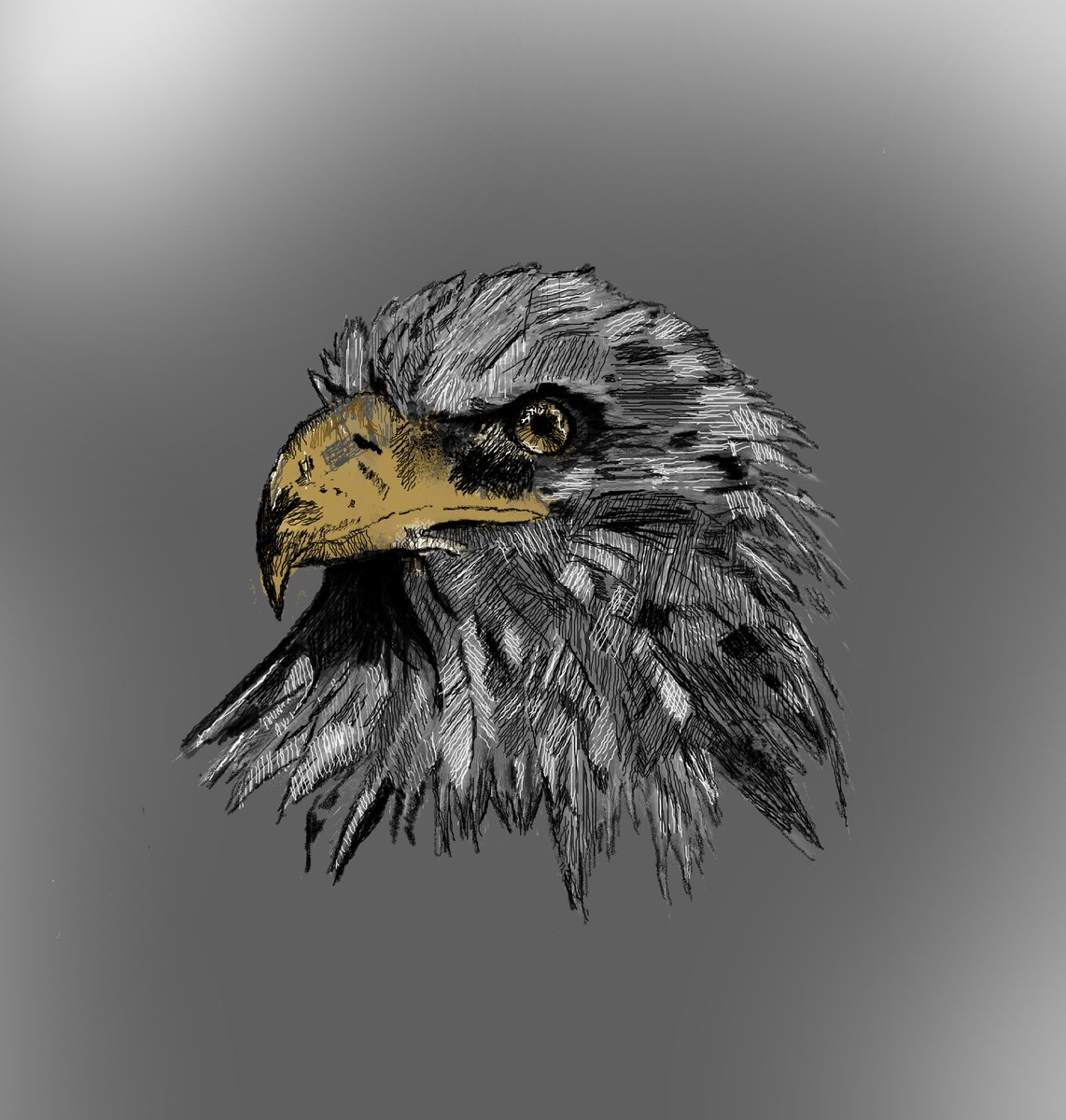 Brian Williams tweet media