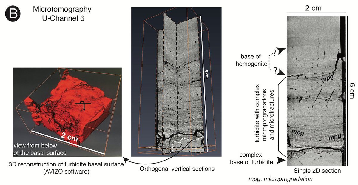 JSedimentology's tweet photo. How to study sedimentary event deposits - find out more in -Multi-scale and multi-parametric analysis of Late Quaternary event deposits within the active Corinth Rift (Greece)
Available at: https://t.co/jl5bJbfHwW https://t.co/DmuogAKezO