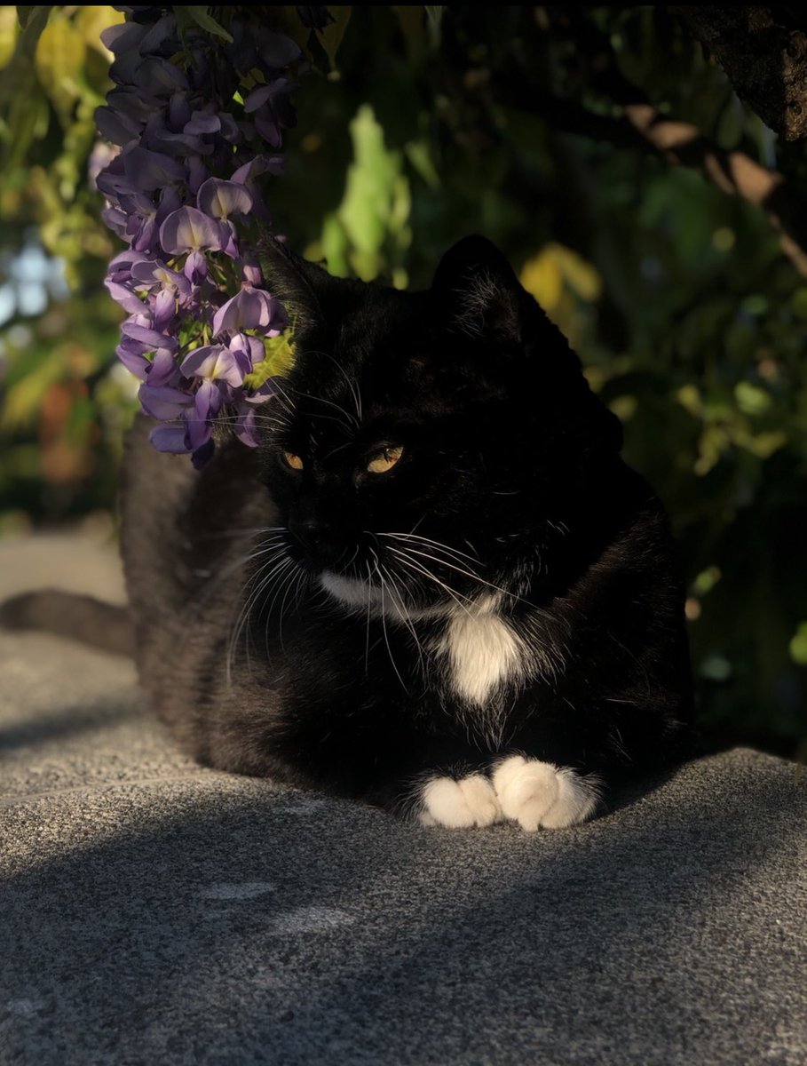 em5b__'s tweet photo. My little angel🕊
15 years of love🤍 https://t.co/ib7ucqujTU