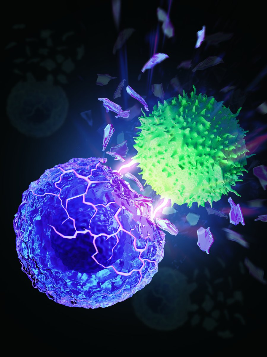 Our lab's new paper (rdcu.be/cCL0H) is now out at @NatBME. We discovered that cancer cells lower their cortical stiffness, which impedes T cell-mediated cytotoxicity by decreasing T cell force at the immune synapse (doi.org/10.1038/s41551…) (1/)