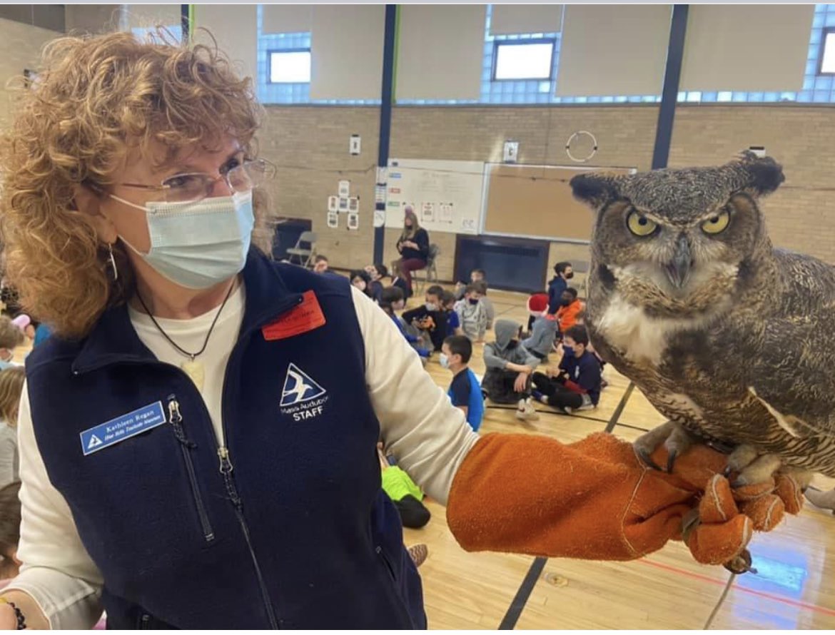 Oakdale loved their Owls presentations today from the Mass Audubon Trailside Museum!