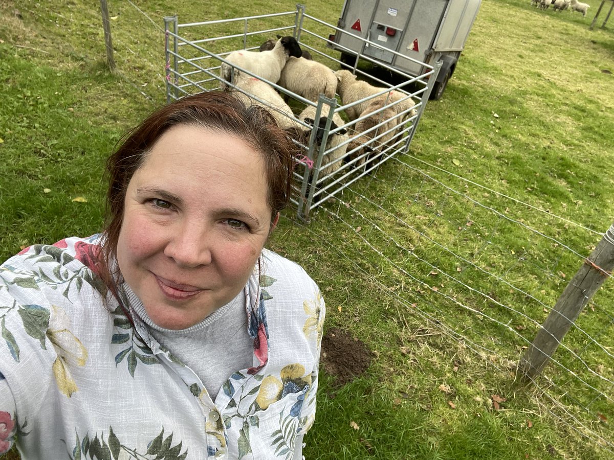 jacwasswilliams's tweet photo. @OnTheFarmC5 My favourite thing in the morning. Sheep checks before heading to work definitely my mental health place and what helped me hugely through the pandemic https://t.co/WcdIuVoWS2