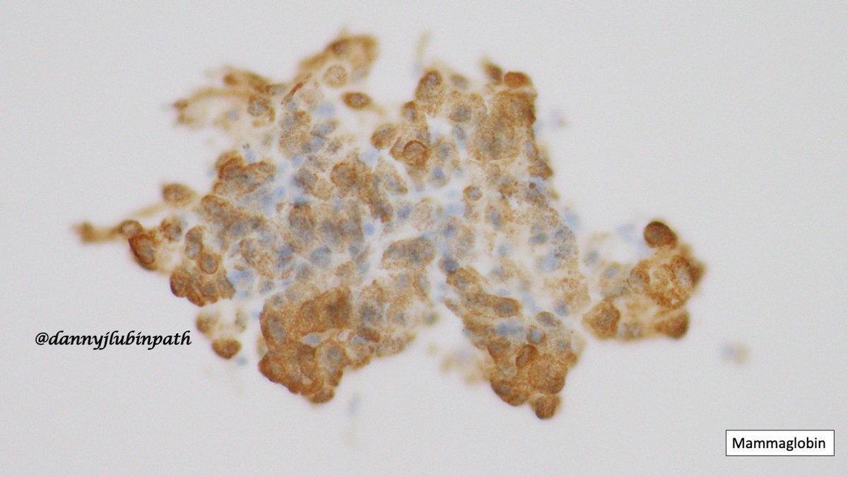 Emory Cytopathology tweet media