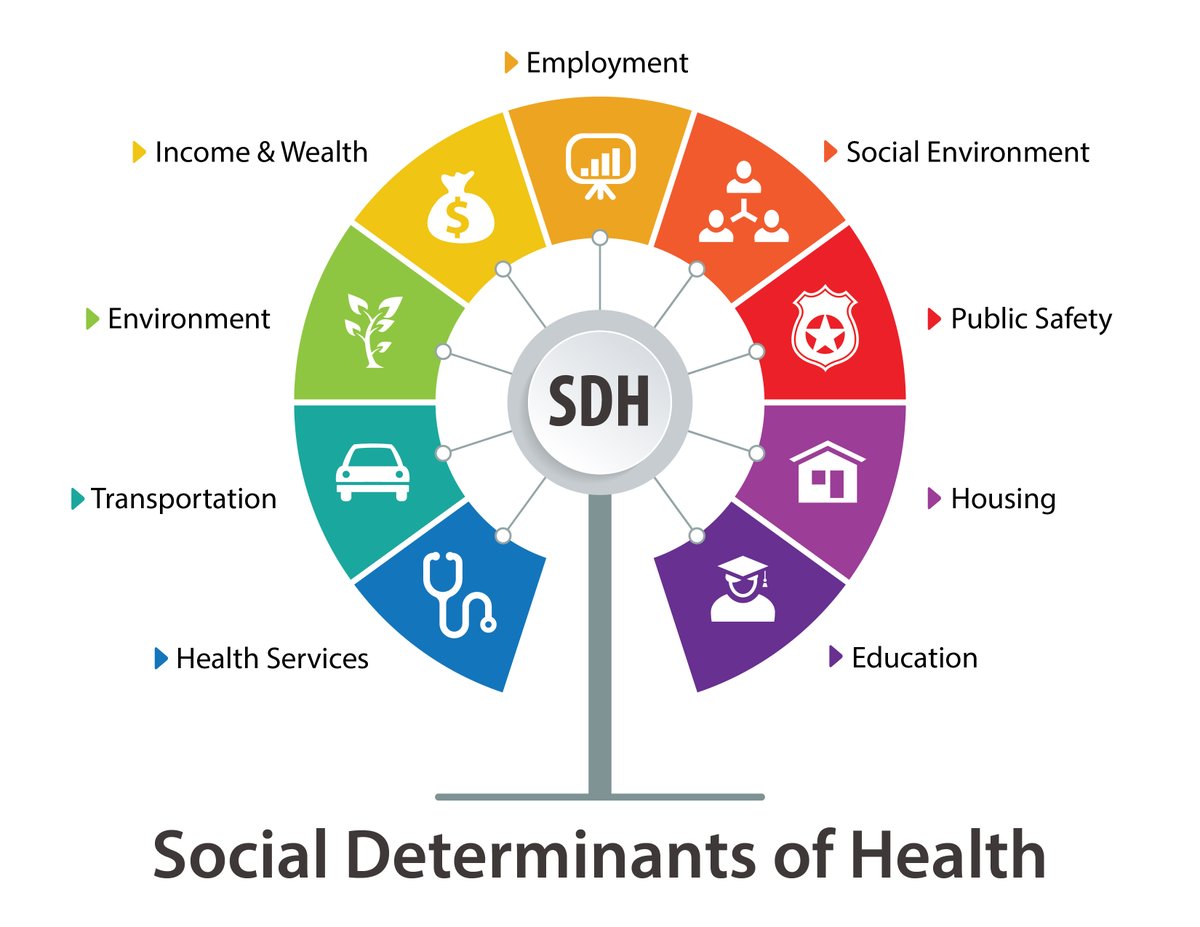 KelseyPicha's tweet photo. Interested in participating in a study on social determinants of health? We need secondary school and college ATs. Data collection is ~1 week and offers a stipend. If you have a high patient load in January and would like more details, contact Kelsey Picha at kpicha@atsu.edu https://t.co/ruxJCr2Vbq