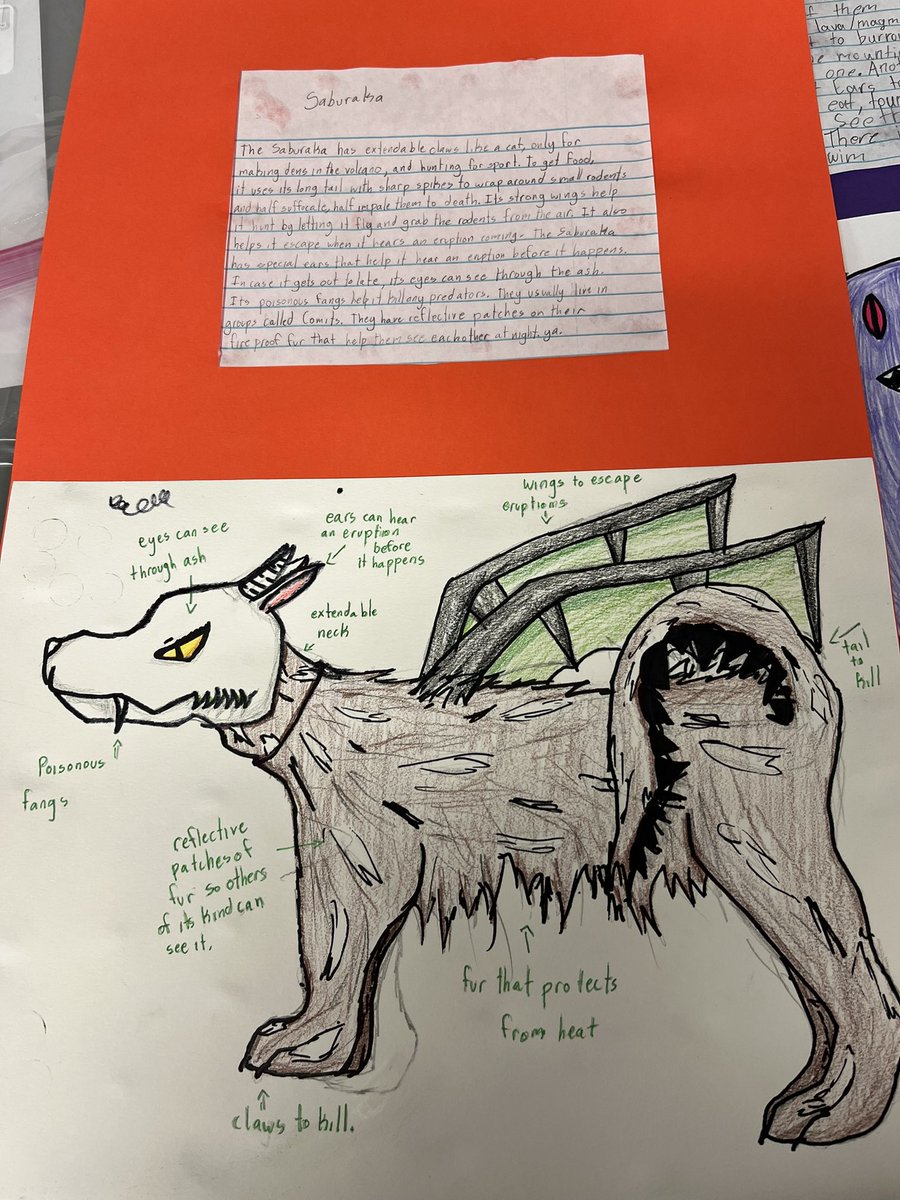 KimMossGT's tweet photo. Some of our design thinking projects at @MtPeak_Elem They studied animal adaptations &amp; behaviors and created animals that could survive in a volcano! https://t.co/oW5ggUecH3