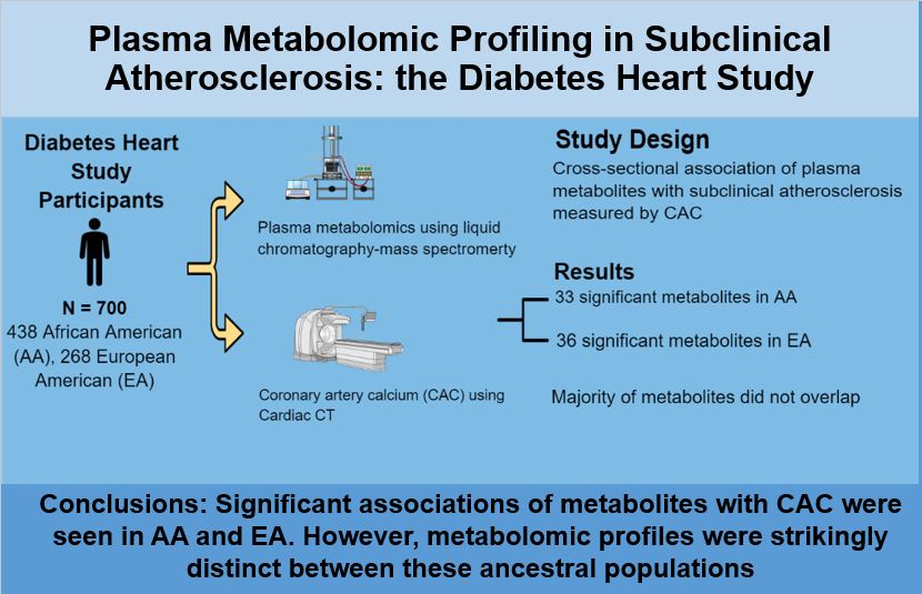 Absolutely thrilled to share our work published in Cardiovascular Diabetology @SpringerNature @BioMedCentral, in which we looked at the association of plasma metabolites and #CAC in the Diabetes Heart Study! @DrMichaelShapir @wakeforestmed @wakehealthHM doi.org/10.1186/s12933…