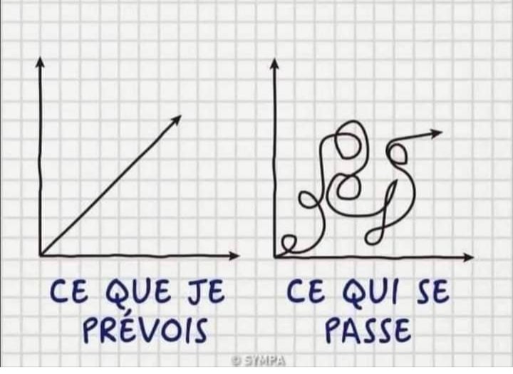 Malik François Brium tweet media