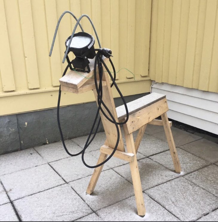 annaandren1's tweet photo. Mitt bästa bidrag till att dämpa julhysterin, var nog 2016 när den här kravlösa bocken prydde vår entré. https://t.co/aTGRzNSg13