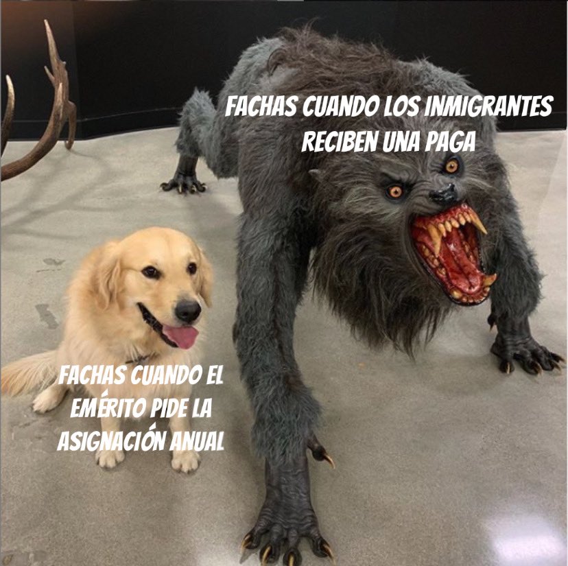 TirodeGraciah's tweet photo. https://t.co/SPx2P6C0qa