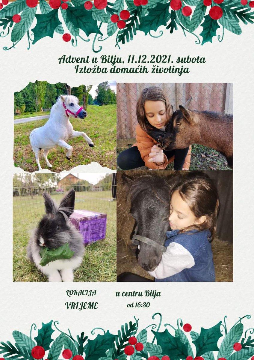BiljeB's tweet photo. Come and meet our friendly and domesticated farm animals at the Christmas Fair in Bilje 
#visitbilje #baranja #easterncroatia #christmasfair #Christmas https://t.co/WDekdJdyIv