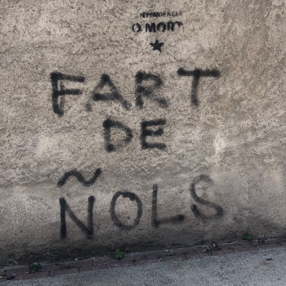 "FART DE ÑOLS" Vic 2021. #guixadesvigatanes #vic #osona