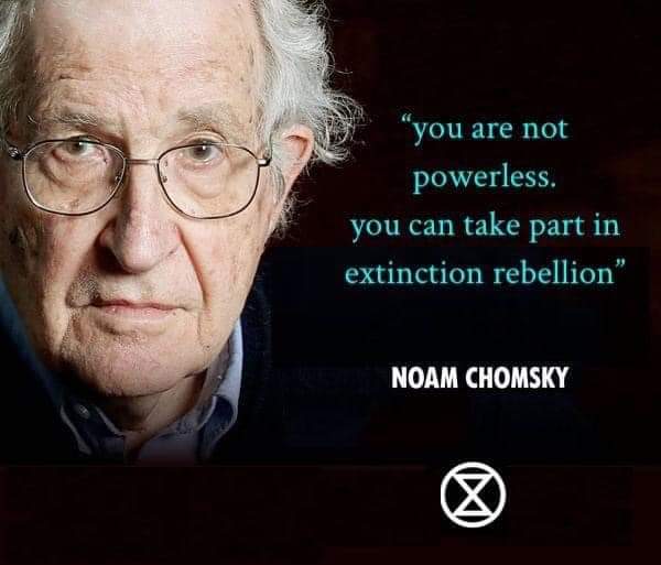 2020thewalk's tweet photo. "You are not powerless, you can take part in Extinction Rebellion @ExtinctionR ". ~ Noam Chomsky. https://t.co/hhU5KvdI2K