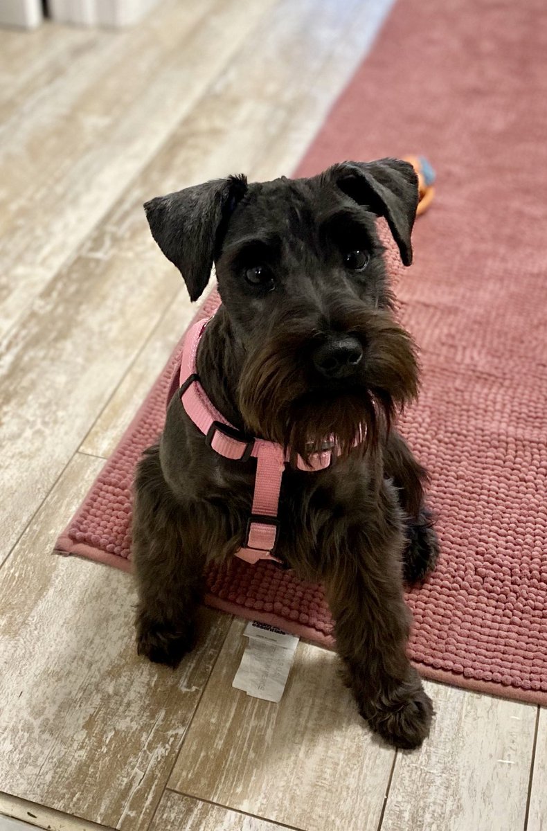 New cut just dropped