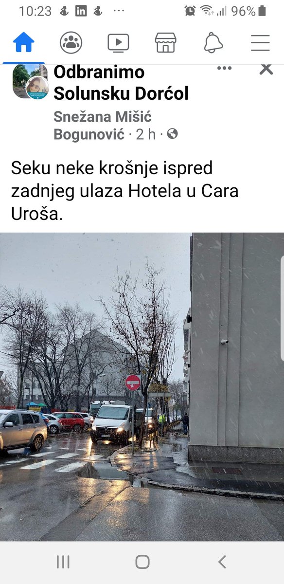 tisov_sumarak's tweet photo. Dok mi ovde komentarišemo njihove bljuvotine koje izgovaraju, od jutros Toma Jebote Mona presudjuje drveću ispred svoje firme i hotela na sred Dorćola, pa vi vidite. https://t.co/AUdwxpBa4b