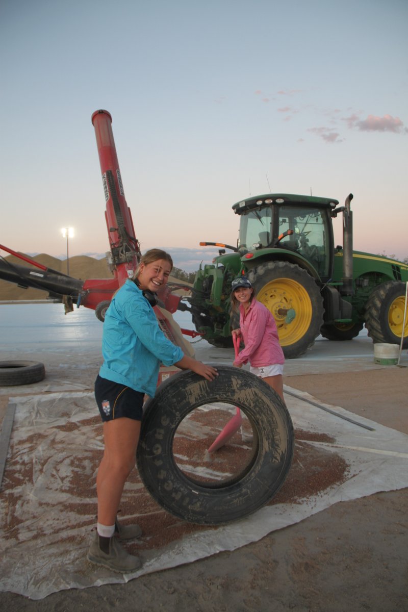 Sam Heagney tweet media