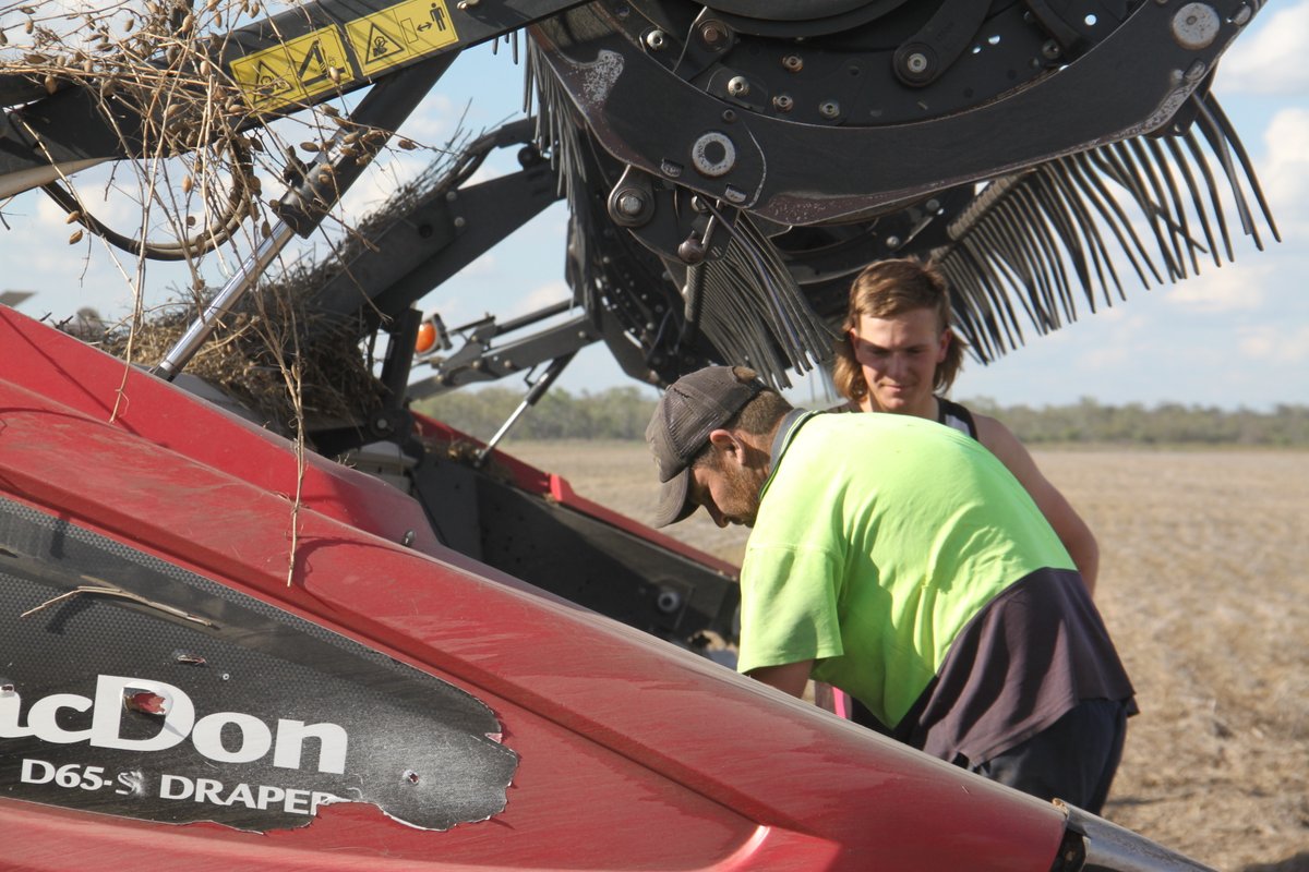 Sam Heagney tweet media