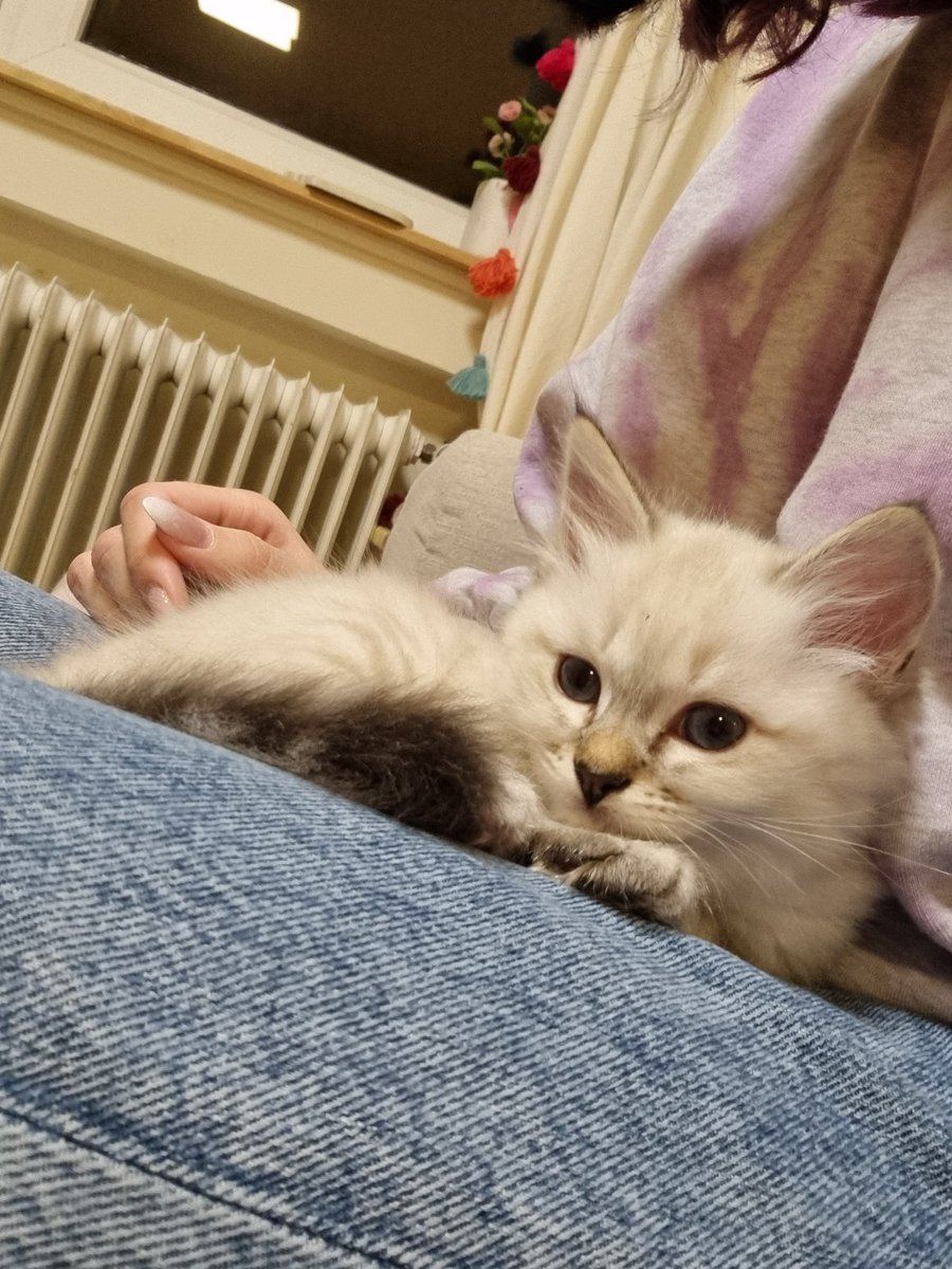 // Y'all meet Sylvie! 💕