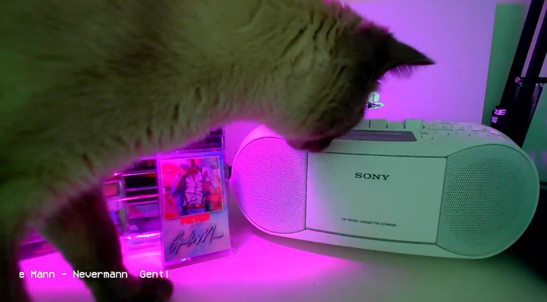 chroma_punk's tweet photo. My streamed got #catted by my handsome little Tofu! https://t.co/kHLeS6zKNp