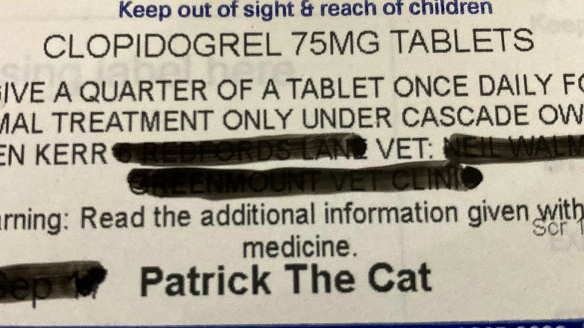 Keren Kerr 💙💚 (@keren_kerr) on Twitter photo <a href="/Medic_Russell/">Russell 🏳️🌈</a> My cat was on Clopidogrel which I had to get from a normal human pharmacy. This is how they labelled it… <a href="/Medic_Russell/">Russell 🏳️🌈</a> My cat was on Clopidogrel which I had to get from a normal human pharmacy. This is how they labelled it…